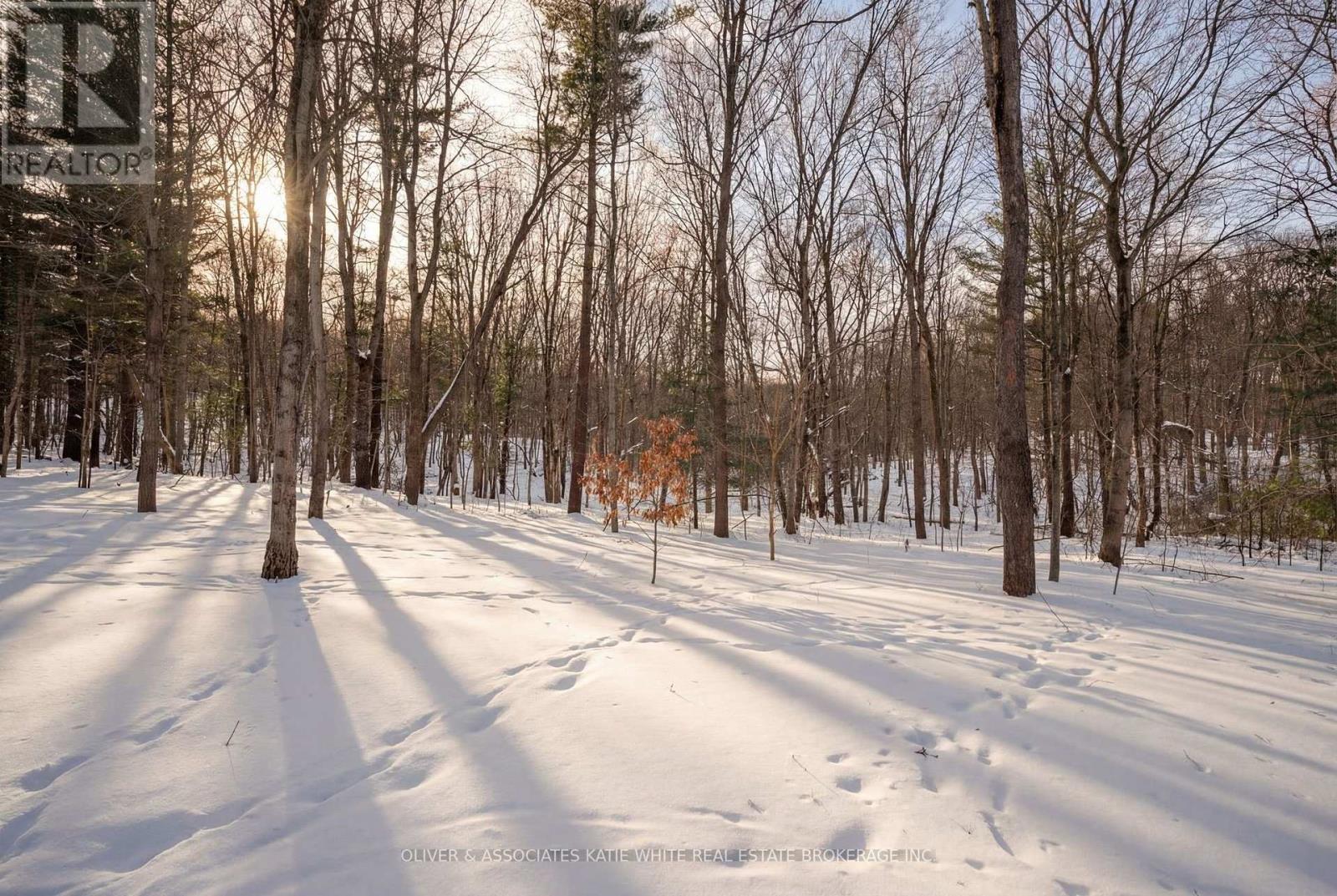 82 Chestnut Court, London South, Ontario  N6K 4J5 - Photo 38 - X12775996