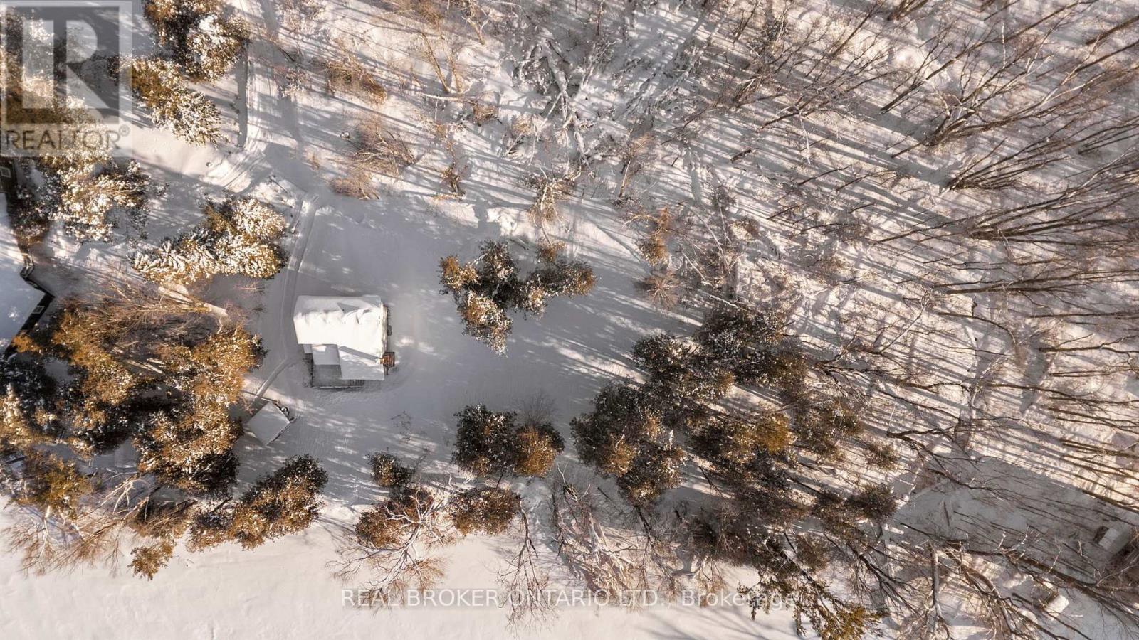 4275 Hopkins Bay Road, Ramara, Ontario  L3V 0N2 - Photo 29 - S12742720