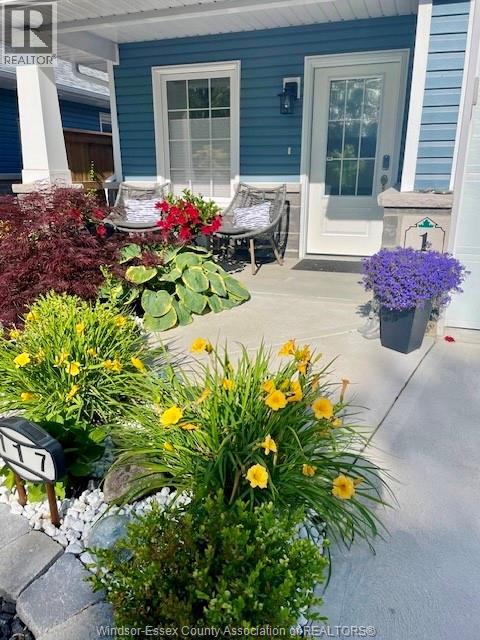 117 Arthur Street North, Harrow, Ontario  N0R 1G0 - Photo 2 - 26002928