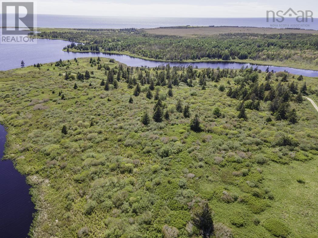 Lot 5 Talala Drive, Beaver River, Nova Scotia  B5A 5A5 - Photo 3 - 202602517