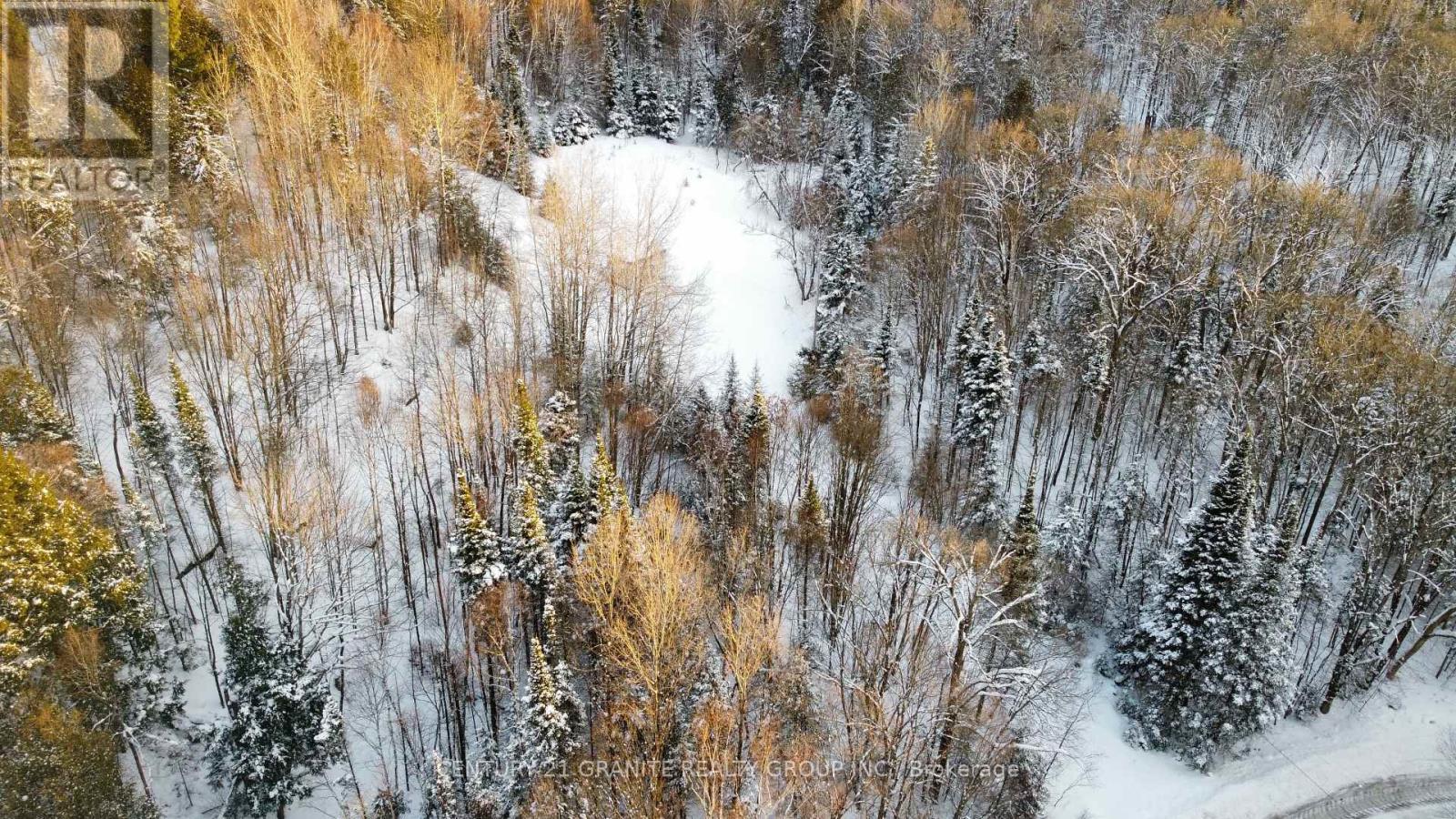 70 Tower Road, Carlow/mayo (Mayo Ward), Ontario  K0L 1G0 - Photo 6 - X12776110