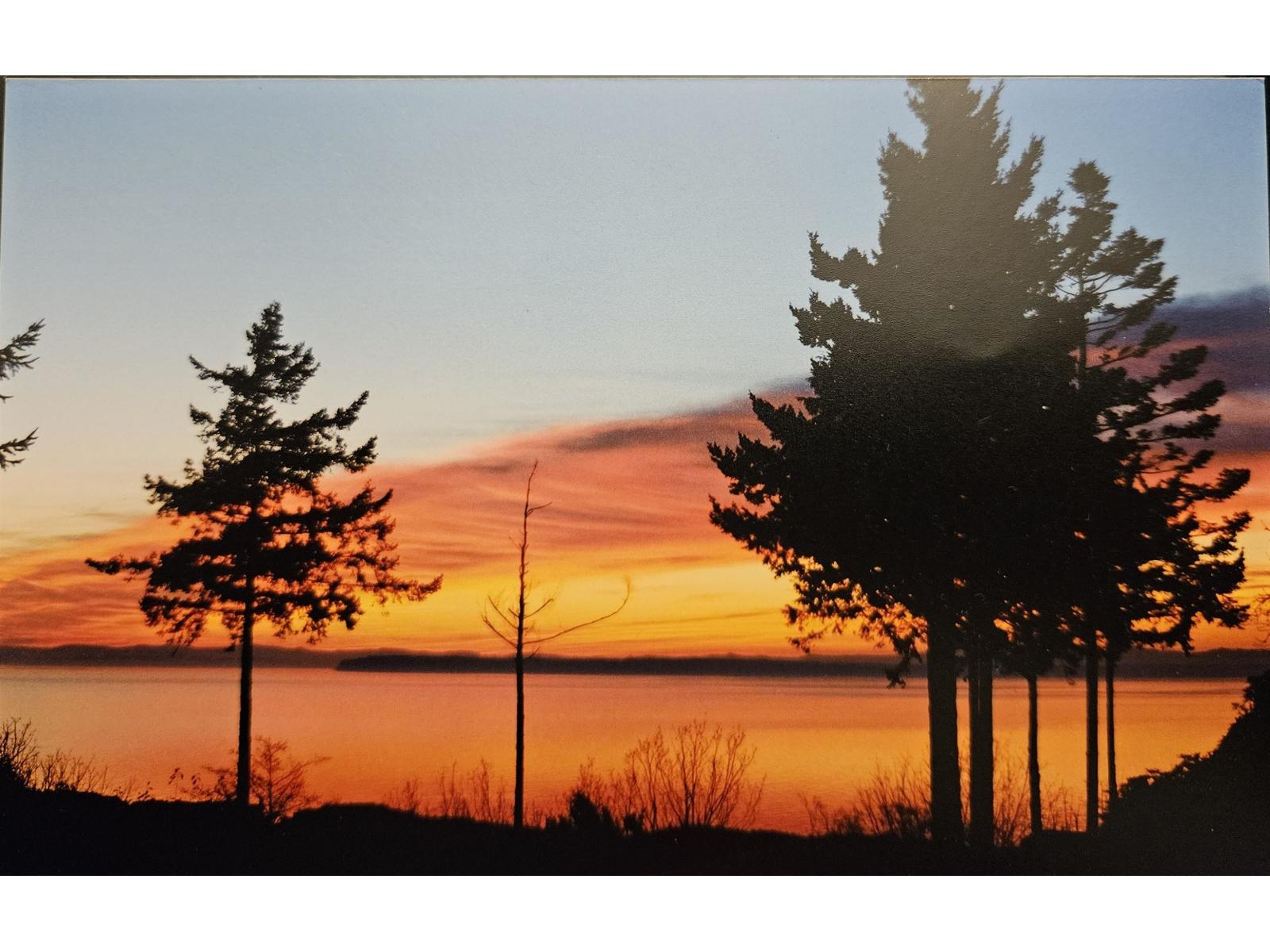 12581 16 Avenue, Surrey, British Columbia  V4A 1M7 - Photo 4 - R3087014