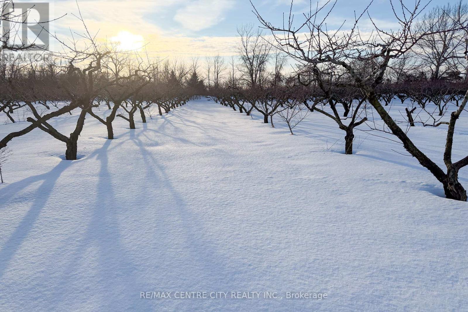 481 Concession 1 Road, Niagara-On-The-Lake, Ontario  L0S 1S0 - Photo 9 - X12776186