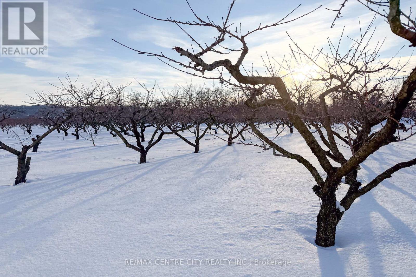 481 Concession 1 Road, Niagara-On-The-Lake, Ontario  L0S 1S0 - Photo 10 - X12776188