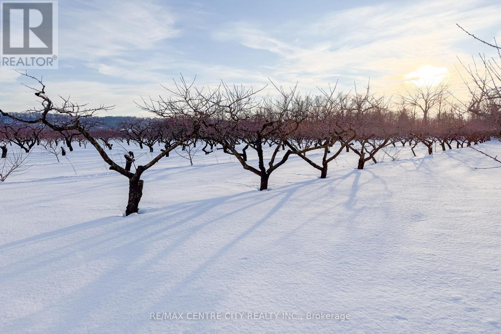 481 Concession 1 Road, Niagara-On-The-Lake, Ontario  L0S 1S0 - Photo 11 - X12776188
