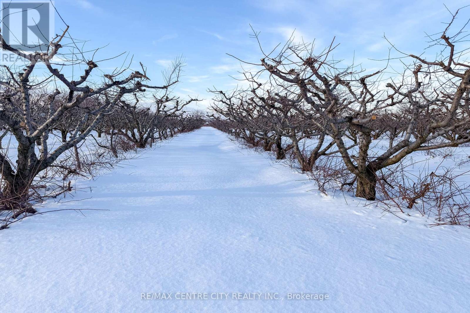 481 Concession 1 Road, Niagara-On-The-Lake, Ontario  L0S 1S0 - Photo 12 - X12776188