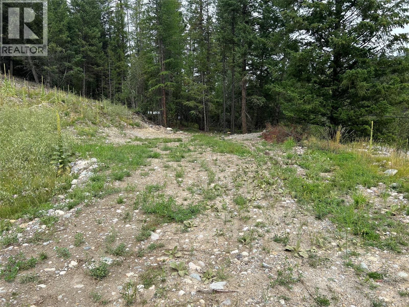 2391 King Street Nw, Cranbrook, British Columbia  V1C 6S7 - Photo 1 - 10375510