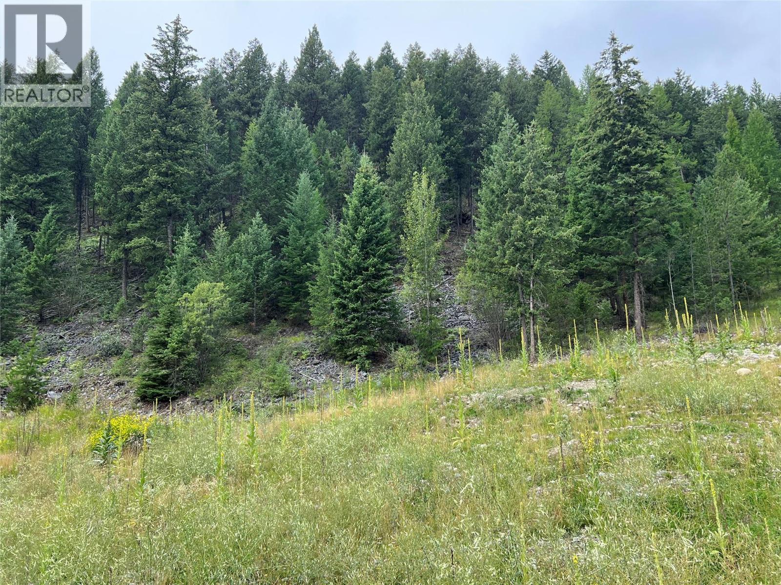 2391 King Street Nw, Cranbrook, British Columbia  V1C 6S7 - Photo 3 - 10375510