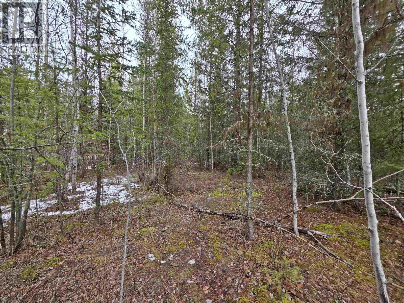 Lot 3 Parkview Road, Quesnel, British Columbia  V2J 6X7 - Photo 4 - R3088442