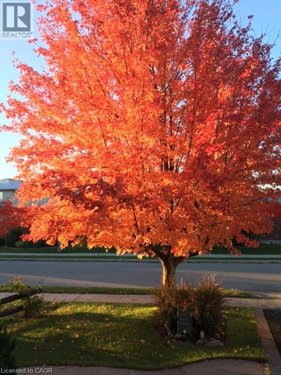 4 Richview Drive, Hamilton, Ontario  L9B 2V5 - Photo 6 - 40804204