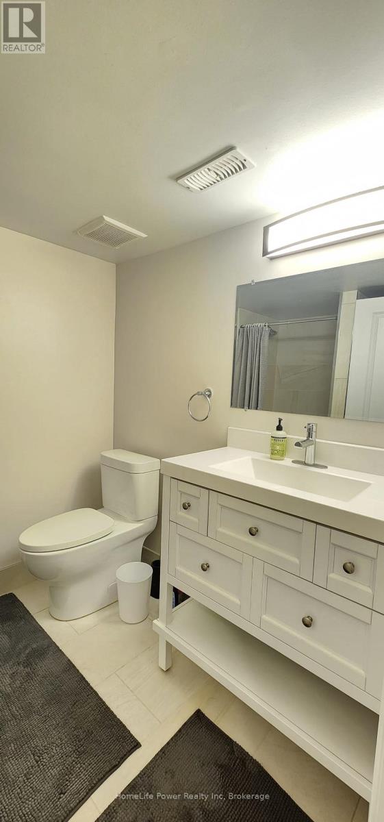 Basement - 19 Ferris Circle Lane, Guelph, Ontario  N1G 4X2 - Photo 15 - X12776432