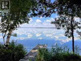 70 Colwell Circle Ne, Scugog, Ontario  L0B 1L0 - Photo 40 - E12776498