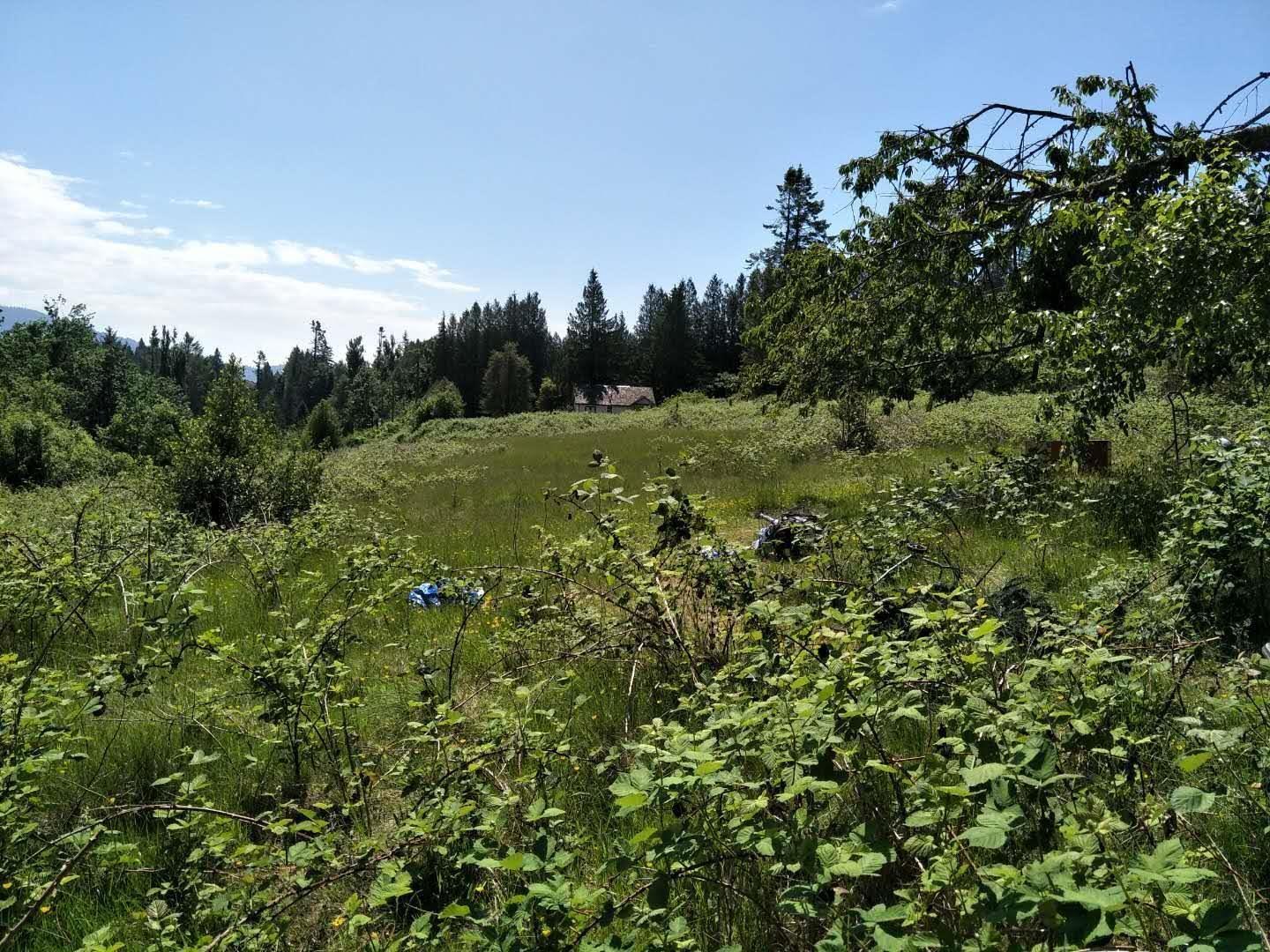 8980 Edwards Street, Mission, British Columbia  V2V 6R4 - Photo 3 - R3088188