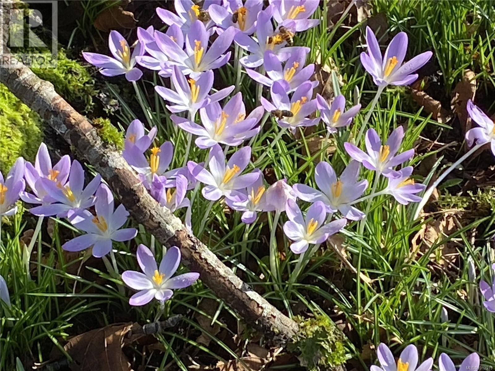 7028 Westholme Rd, Westholme, British Columbia V9L 6B4 - Photo 73 - 1012919