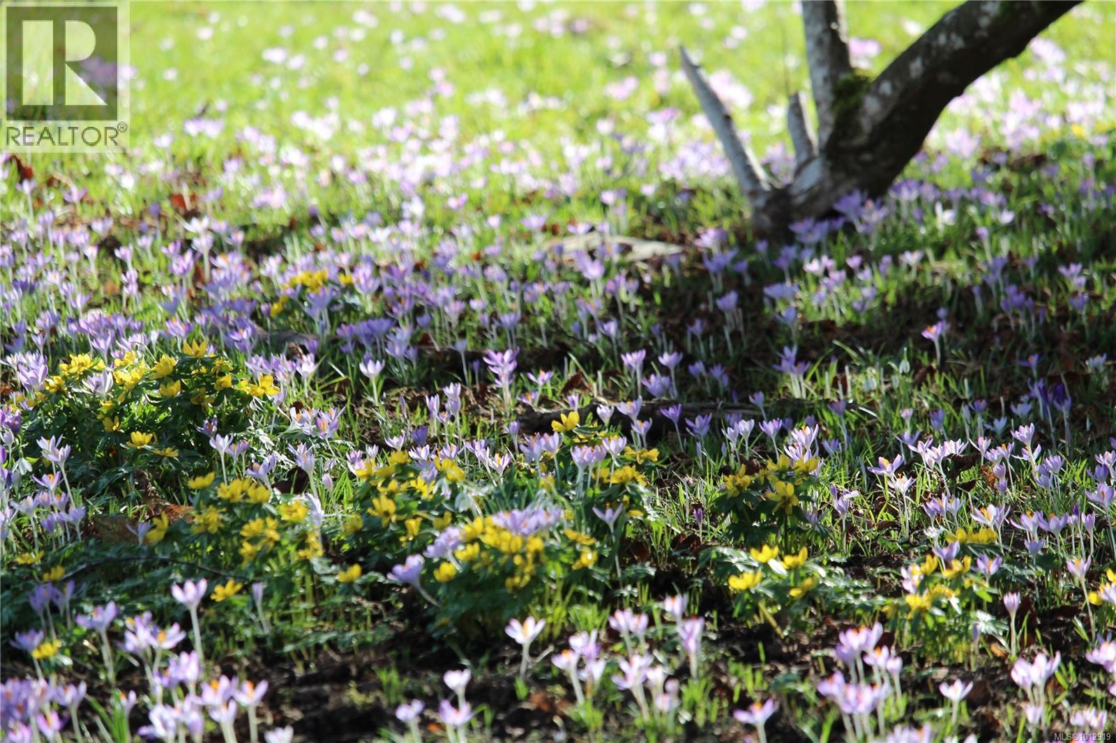 7028 Westholme Rd, Westholme, British Columbia V9L 6B4 - Photo 70 - 1012919