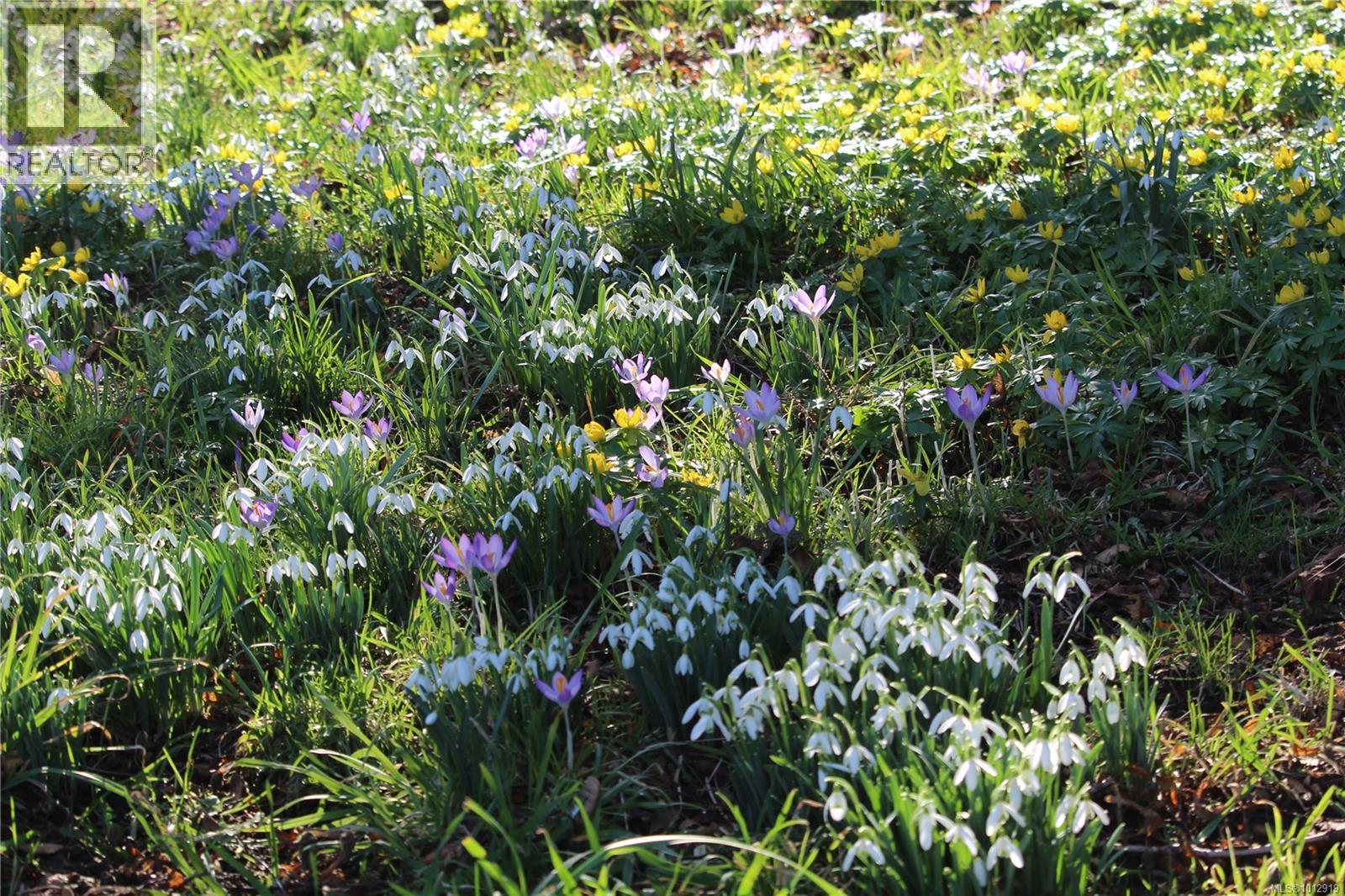 7028 Westholme Rd, Westholme, British Columbia V9L 6B4 - Photo 75 - 1012919