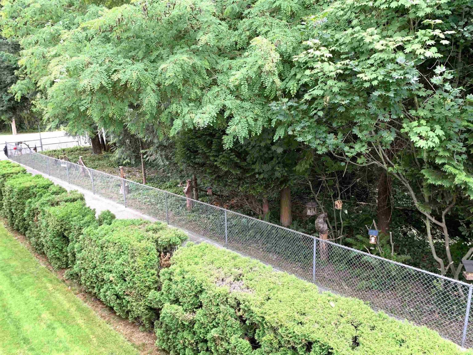 6 32286 7 Avenue, Mission, British Columbia  V2V 6K3 - Photo 7 - R3087762