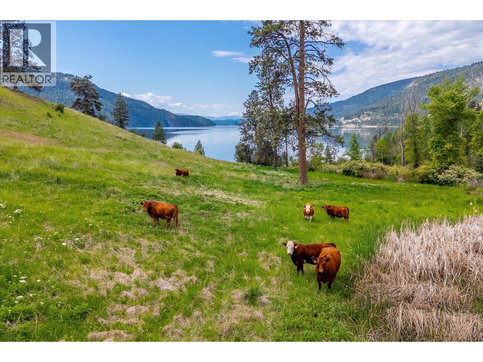 201 Highway 97, Vernon, British Columbia  V1H 1G1 - Photo 48 - 10375260