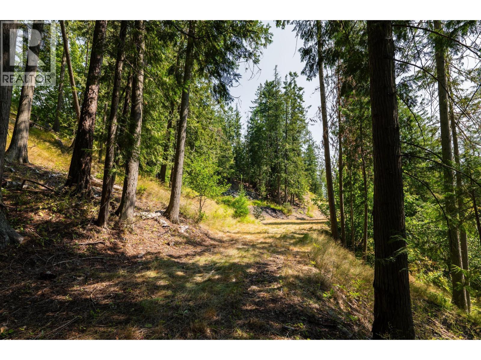 6802 Marian Lane, Nelson, British Columbia  V1L 6S2 - Photo 21 - 10375390