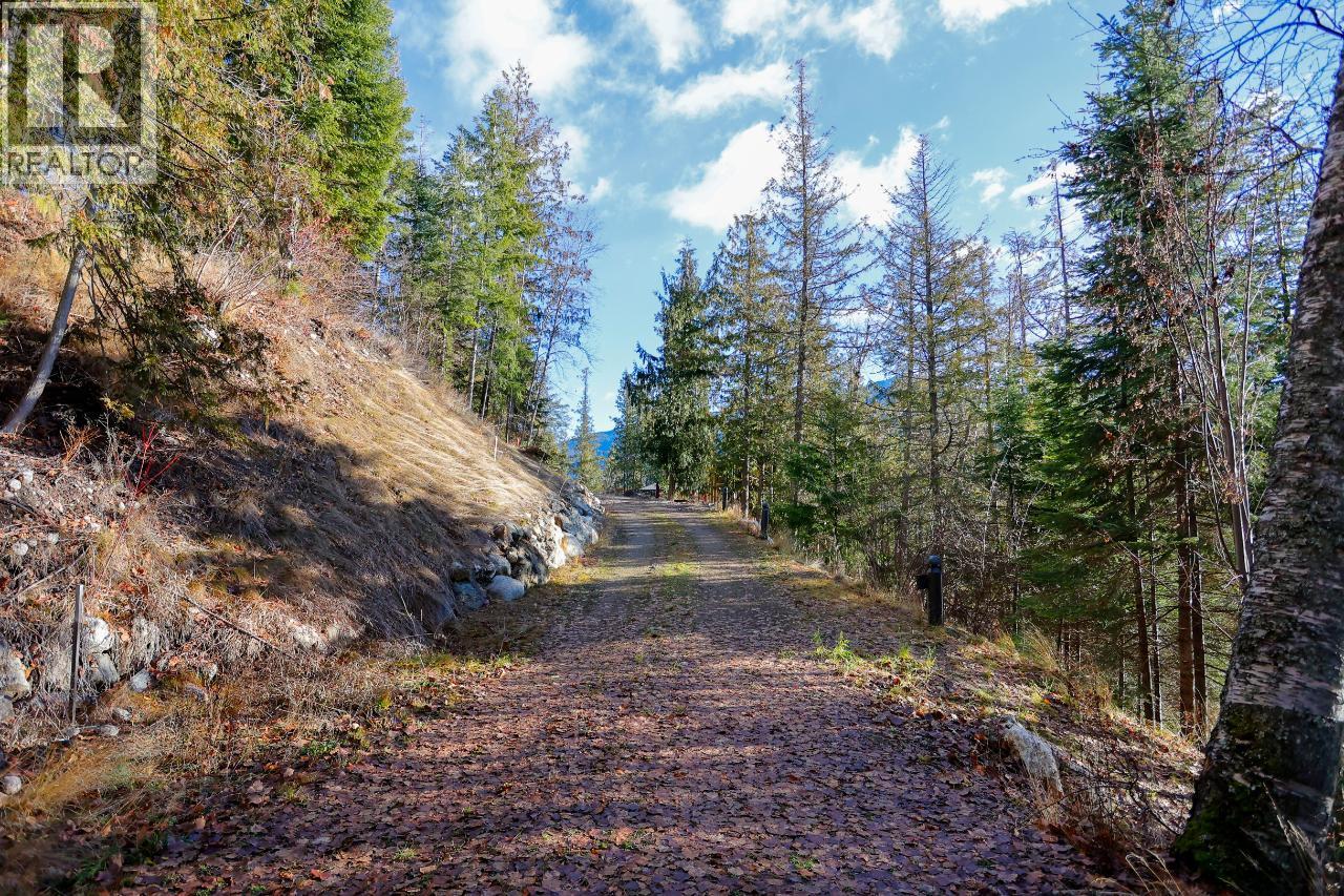 6802 Marian Lane, Nelson, British Columbia  V1L 6S2 - Photo 30 - 10375390