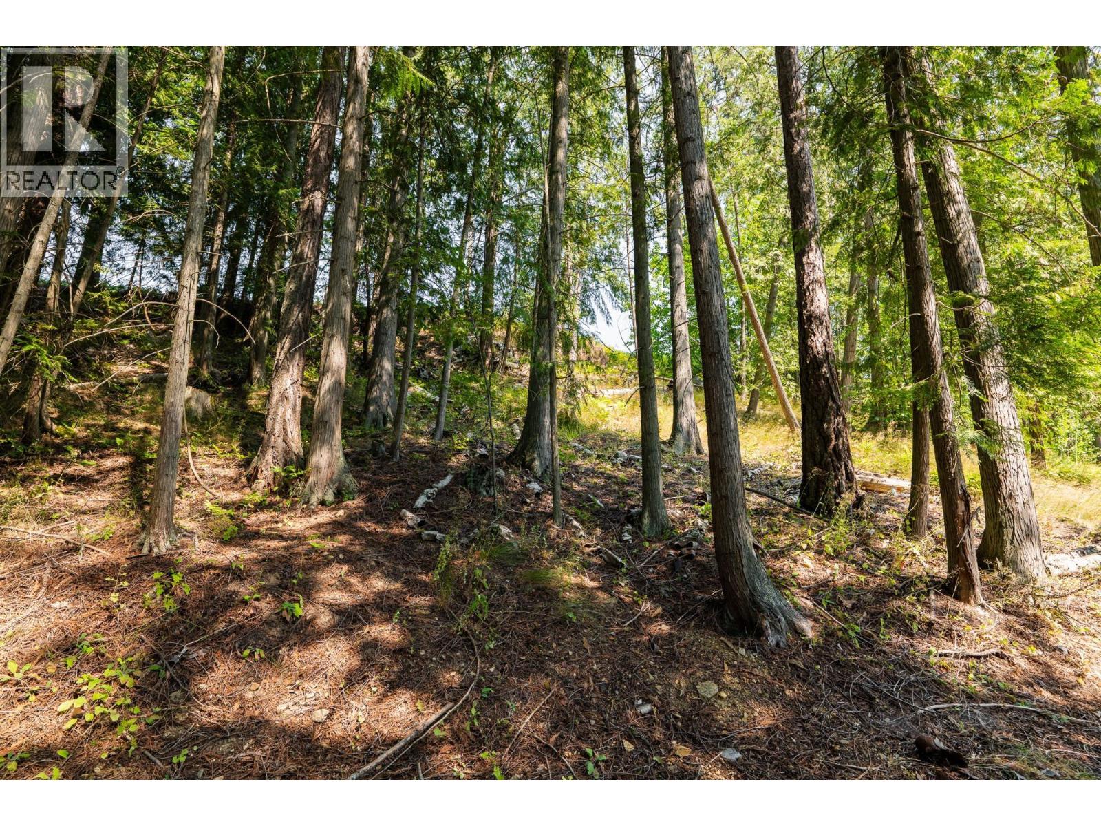 6802 Marian Lane, Nelson, British Columbia  V1L 6S2 - Photo 16 - 10375390