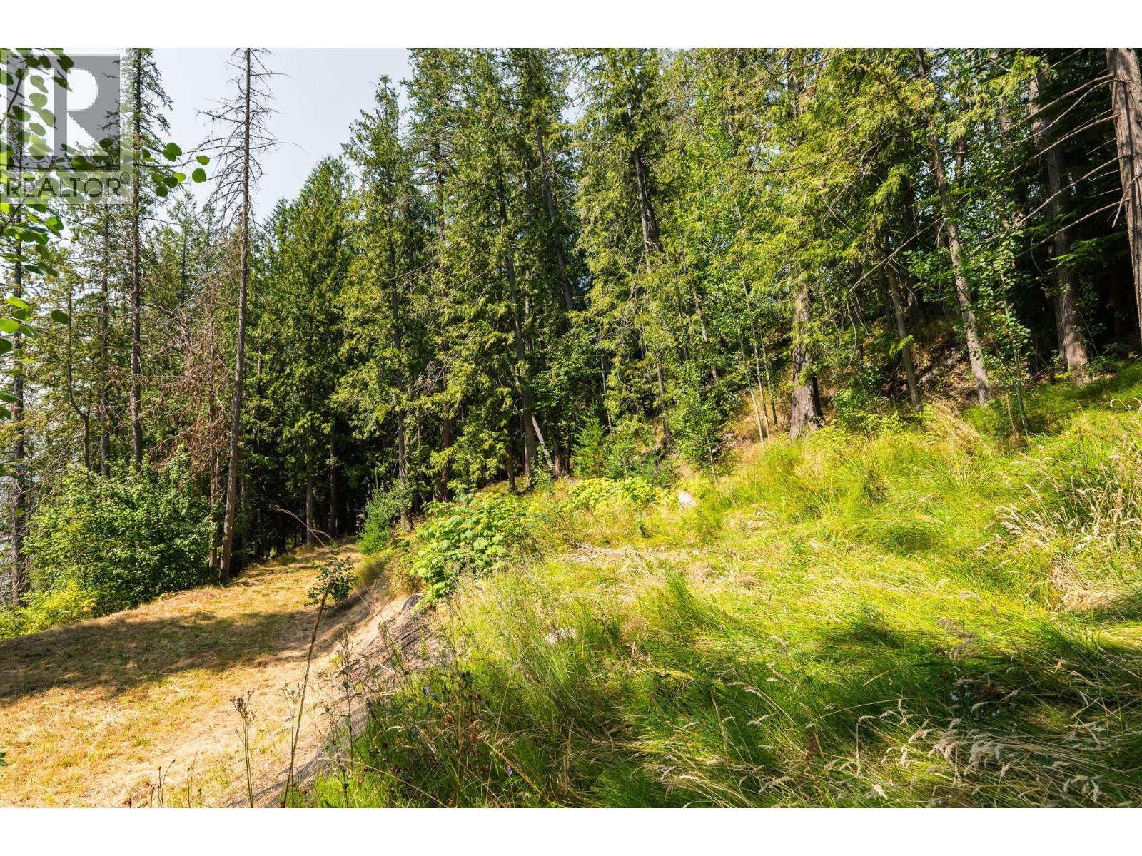 6802 Marian Lane, Nelson, British Columbia  V1L 6S2 - Photo 15 - 10375390