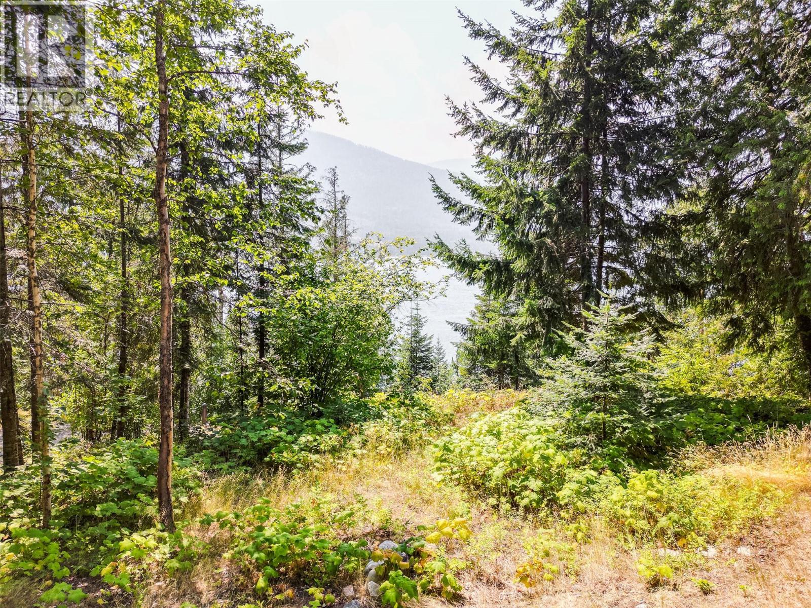 6814 Marian Lane, Nelson, British Columbia  V1L 6S2 - Photo 6 - 10375396