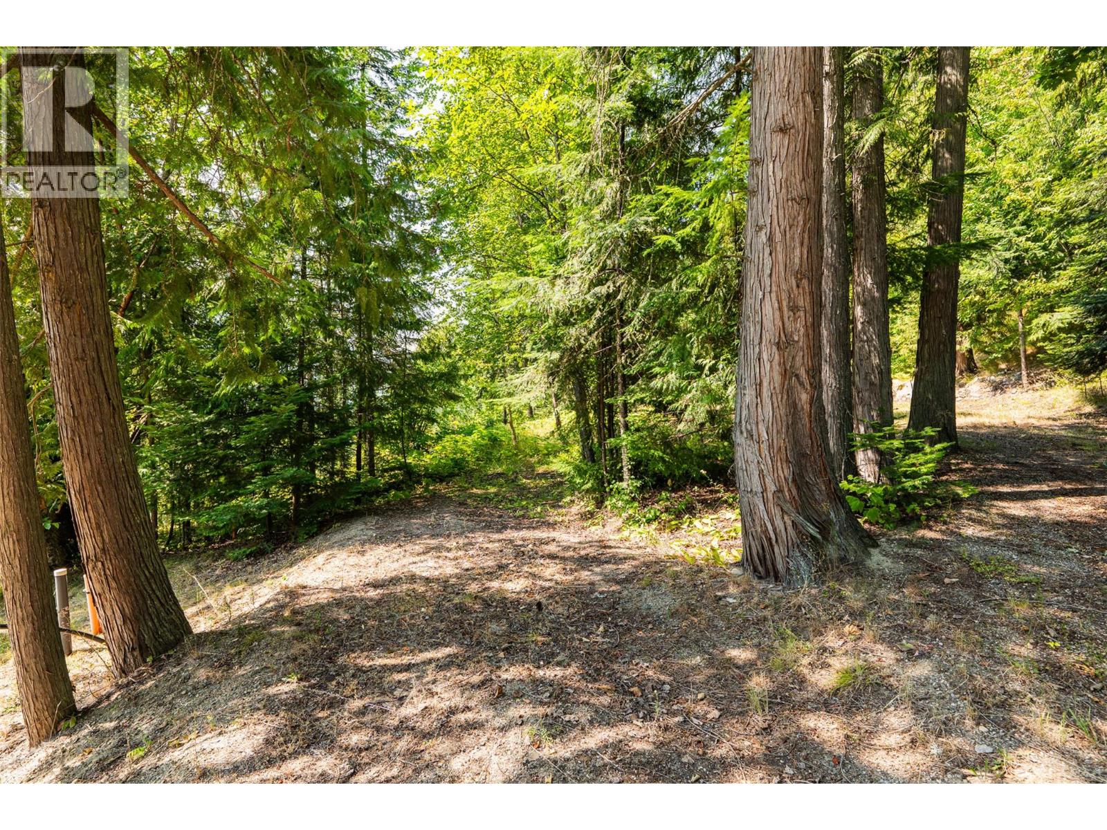 6814 Marian Lane, Nelson, British Columbia  V1L 6S2 - Photo 22 - 10375396