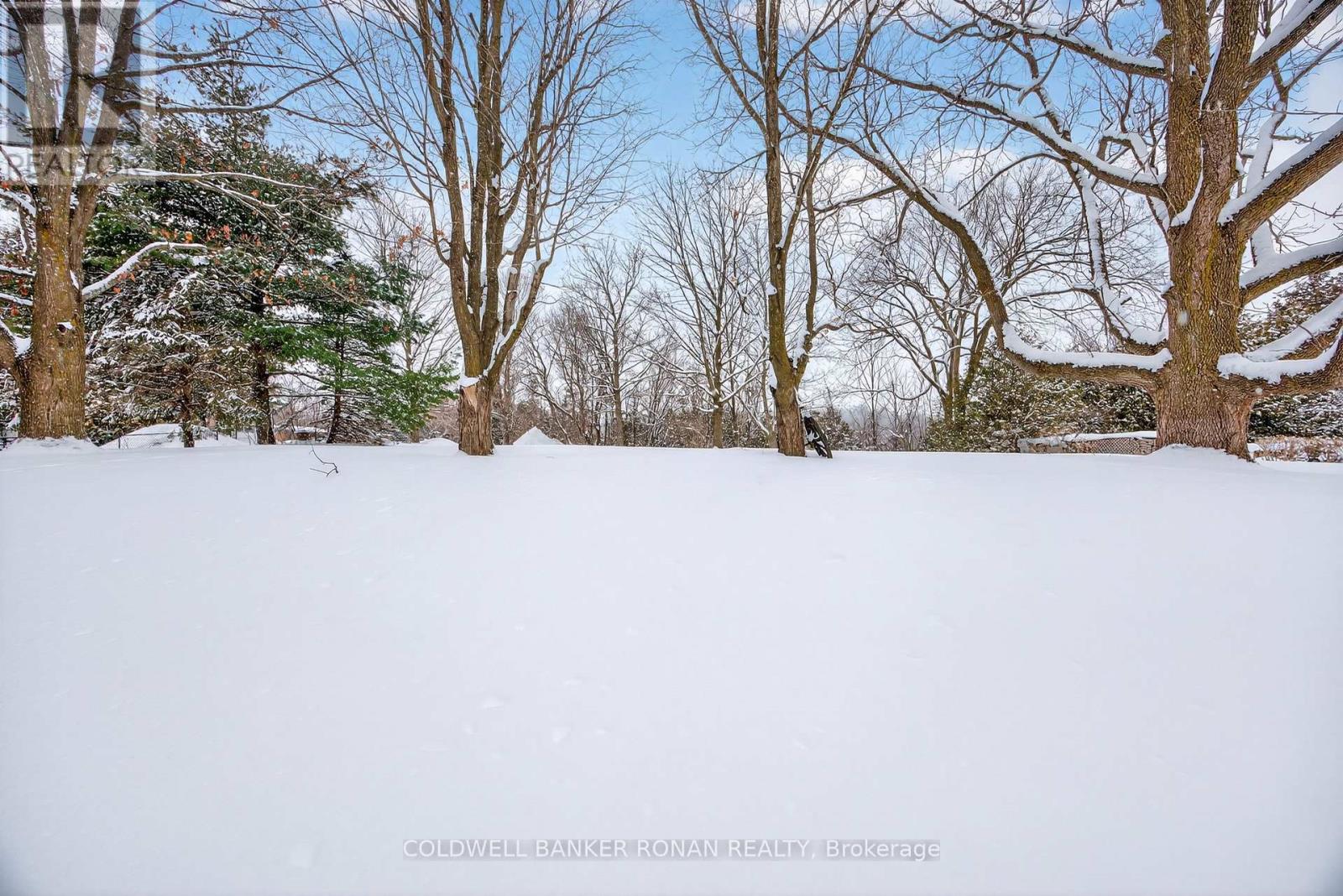 4532 Adjala-Tecumseth Townline, Adjala-Tosorontio, Ontario  L9R 1V4 - Photo 19 - N12776754