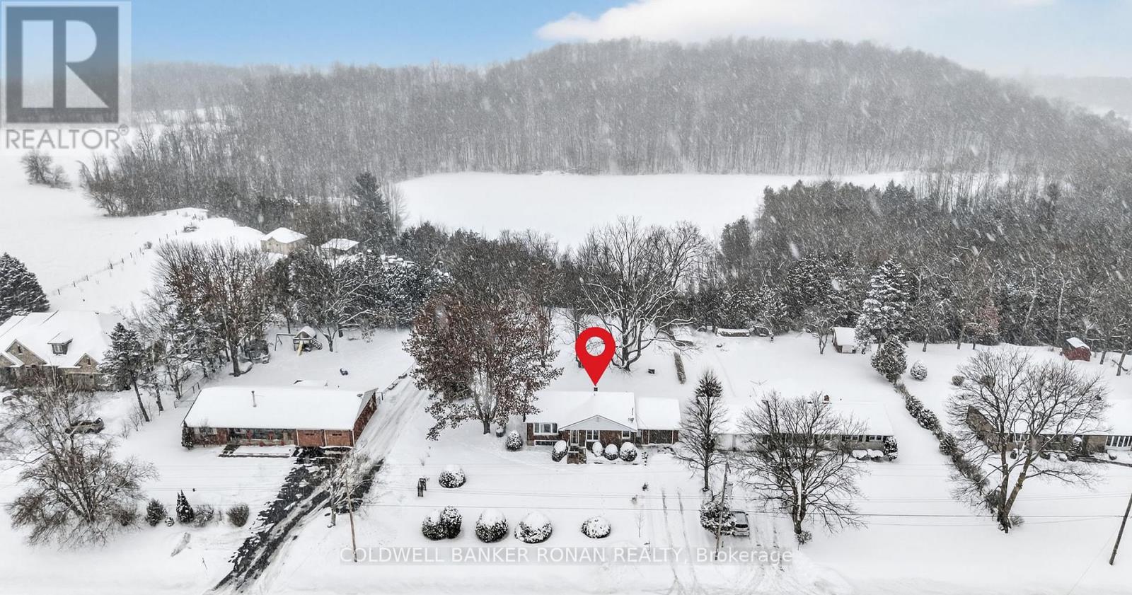 4532 Adjala-Tecumseth Townline, Adjala-Tosorontio, Ontario  L9R 1V4 - Photo 2 - N12776754