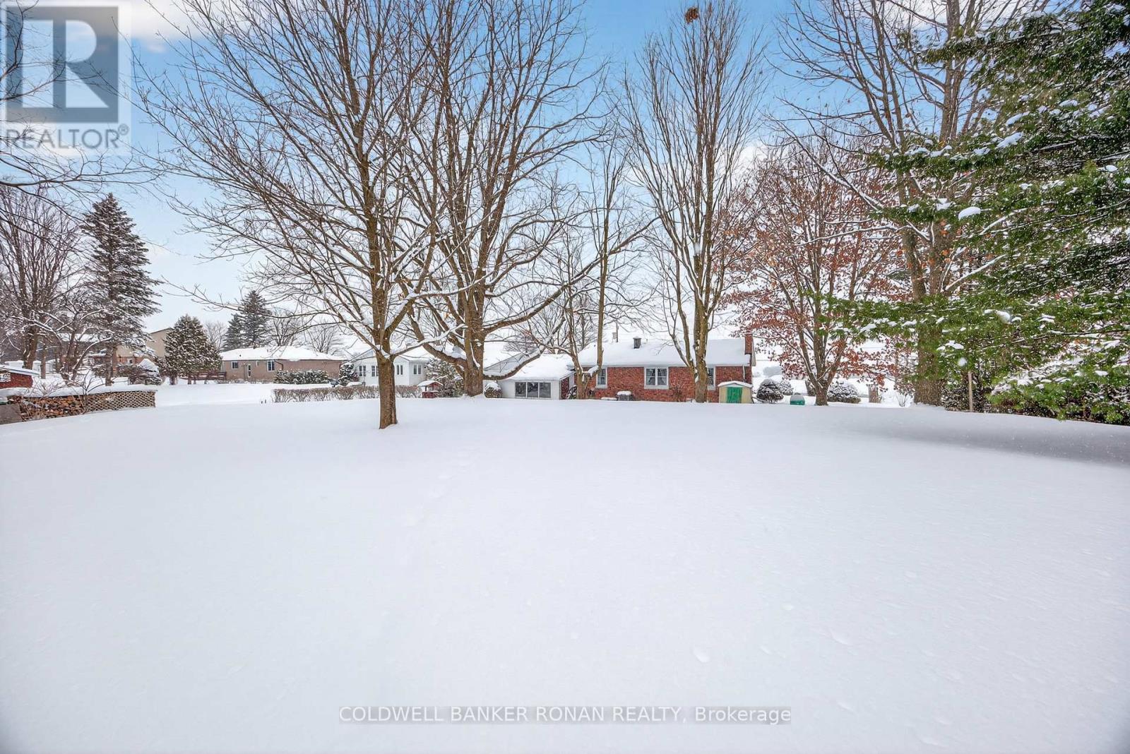 4532 Adjala-Tecumseth Townline, Adjala-Tosorontio, Ontario  L9R 1V4 - Photo 20 - N12776754