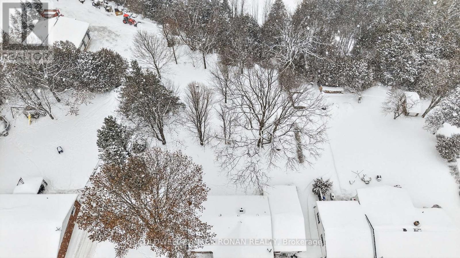 4532 Adjala-Tecumseth Townline, Adjala-Tosorontio, Ontario  L9R 1V4 - Photo 22 - N12776754