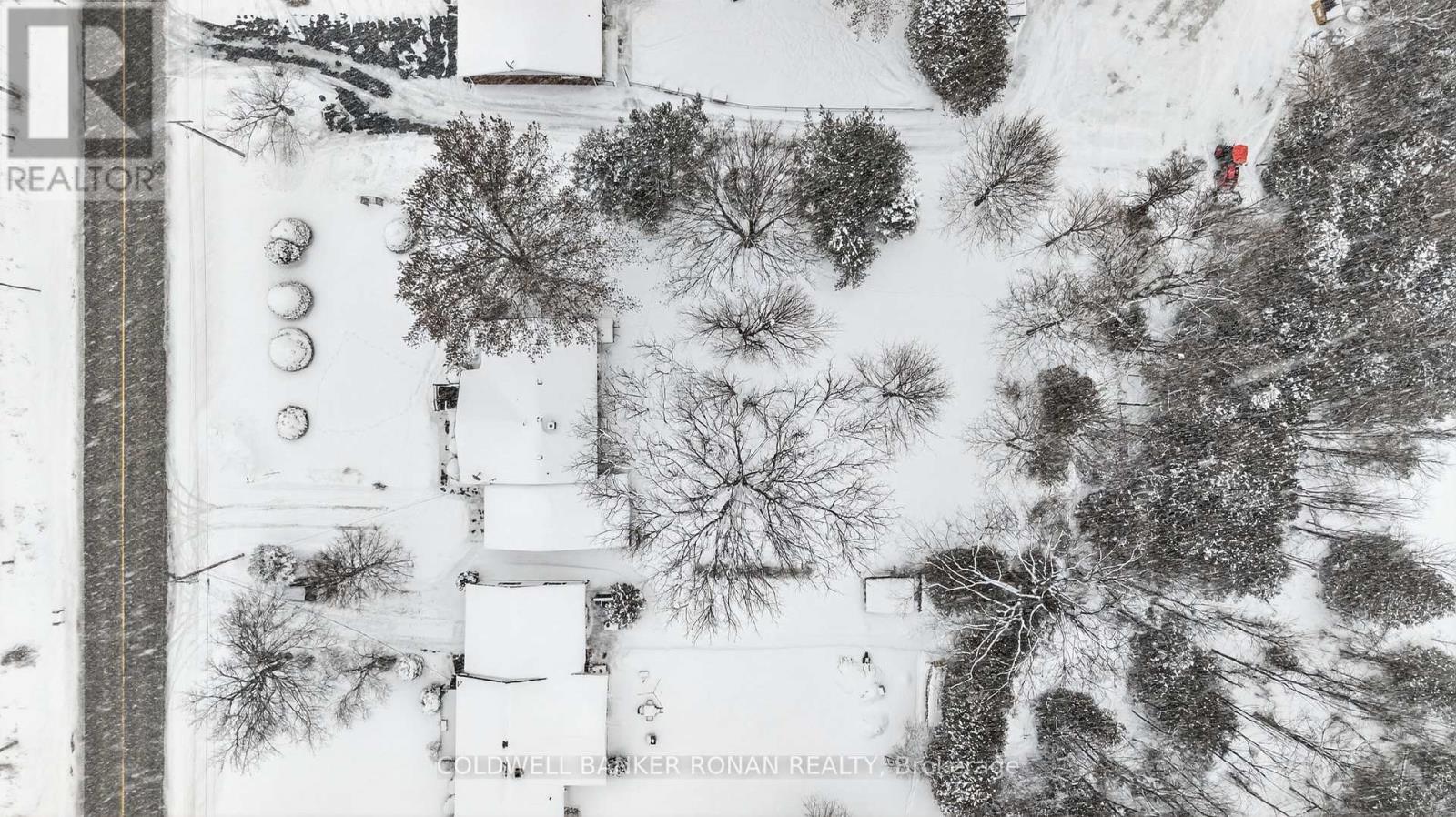 4532 Adjala-Tecumseth Townline, Adjala-Tosorontio, Ontario  L9R 1V4 - Photo 25 - N12776754