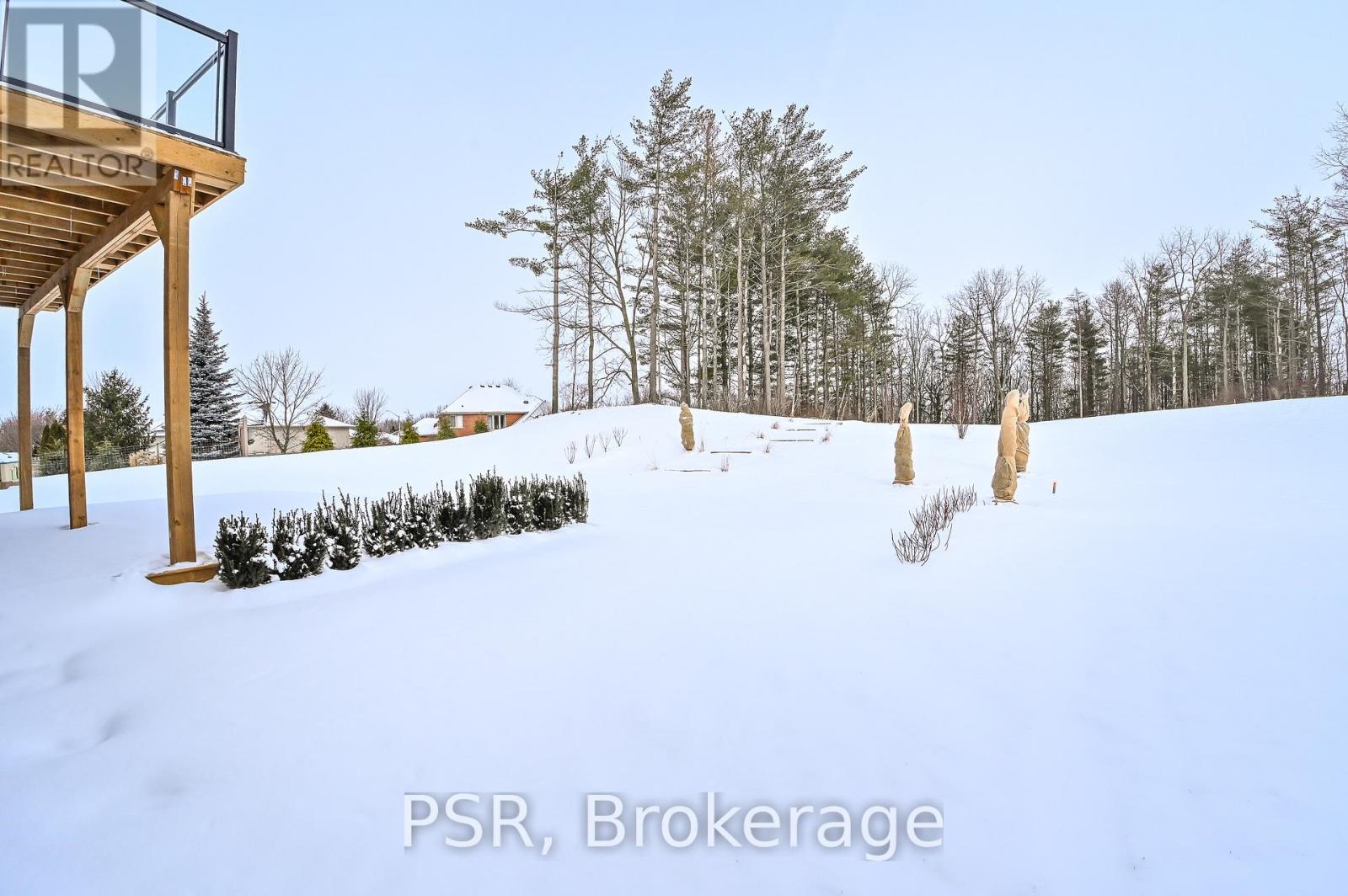 111 Daugaard Avenue, Brant, Ontario  N3L 0L6 - Photo 45 - X12776862