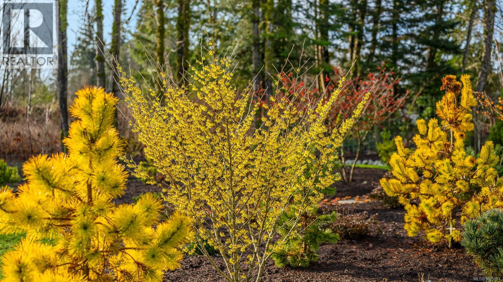 3767 Maple Lane, Royston, British Columbia  V0R 2V0 - Photo 61 - 1025524
