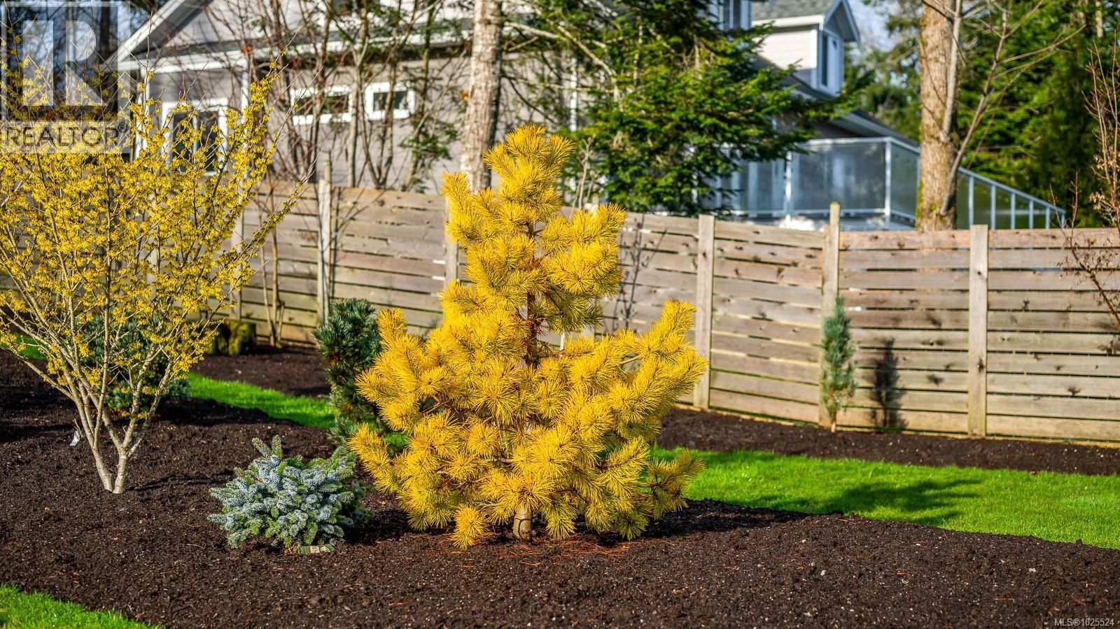 3767 Maple Lane, Royston, British Columbia  V0R 2V0 - Photo 59 - 1025524