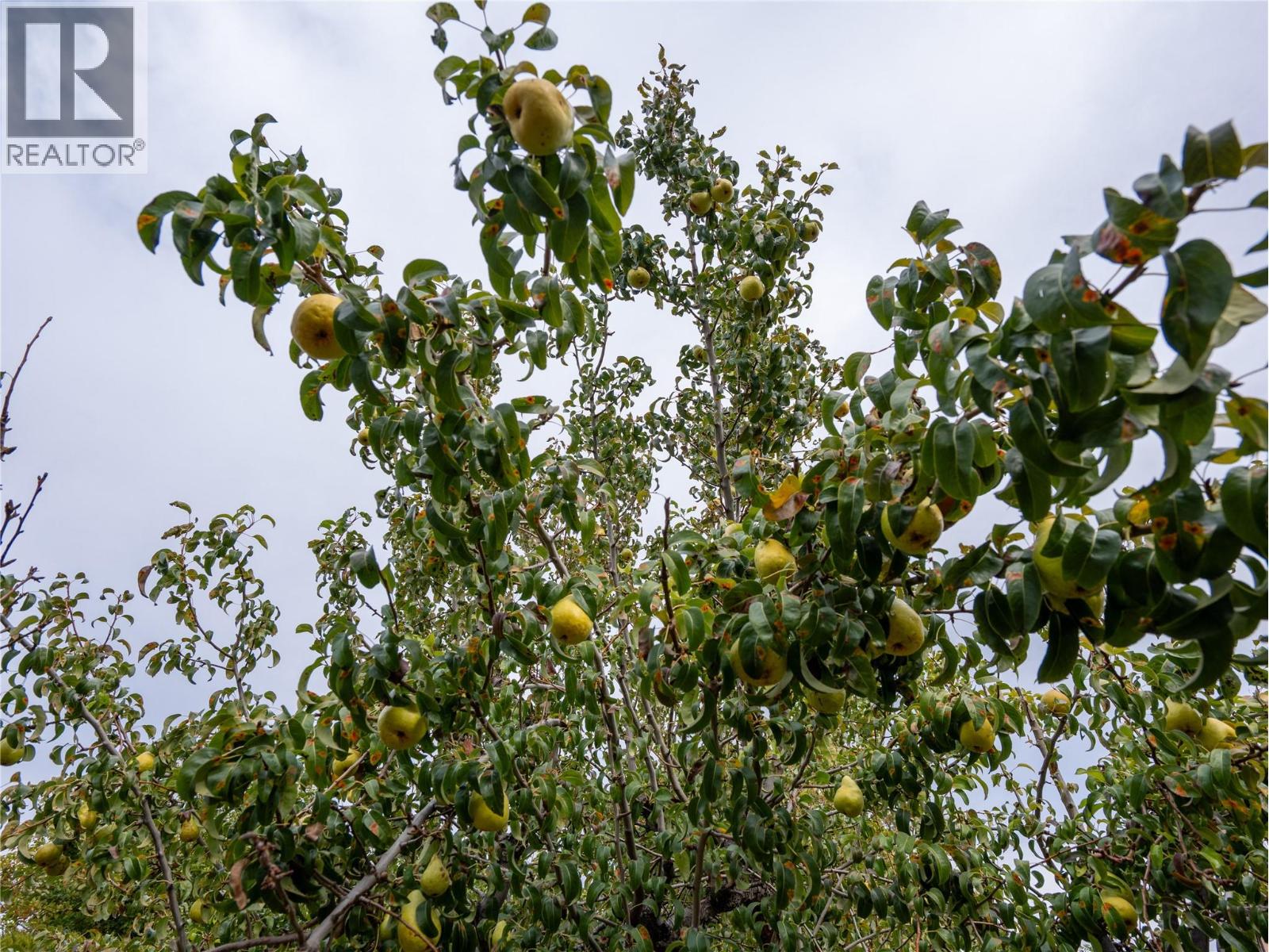 190 Dafoe Place, Penticton, British Columbia  V2A 7E6 - Photo 29 - 10375515