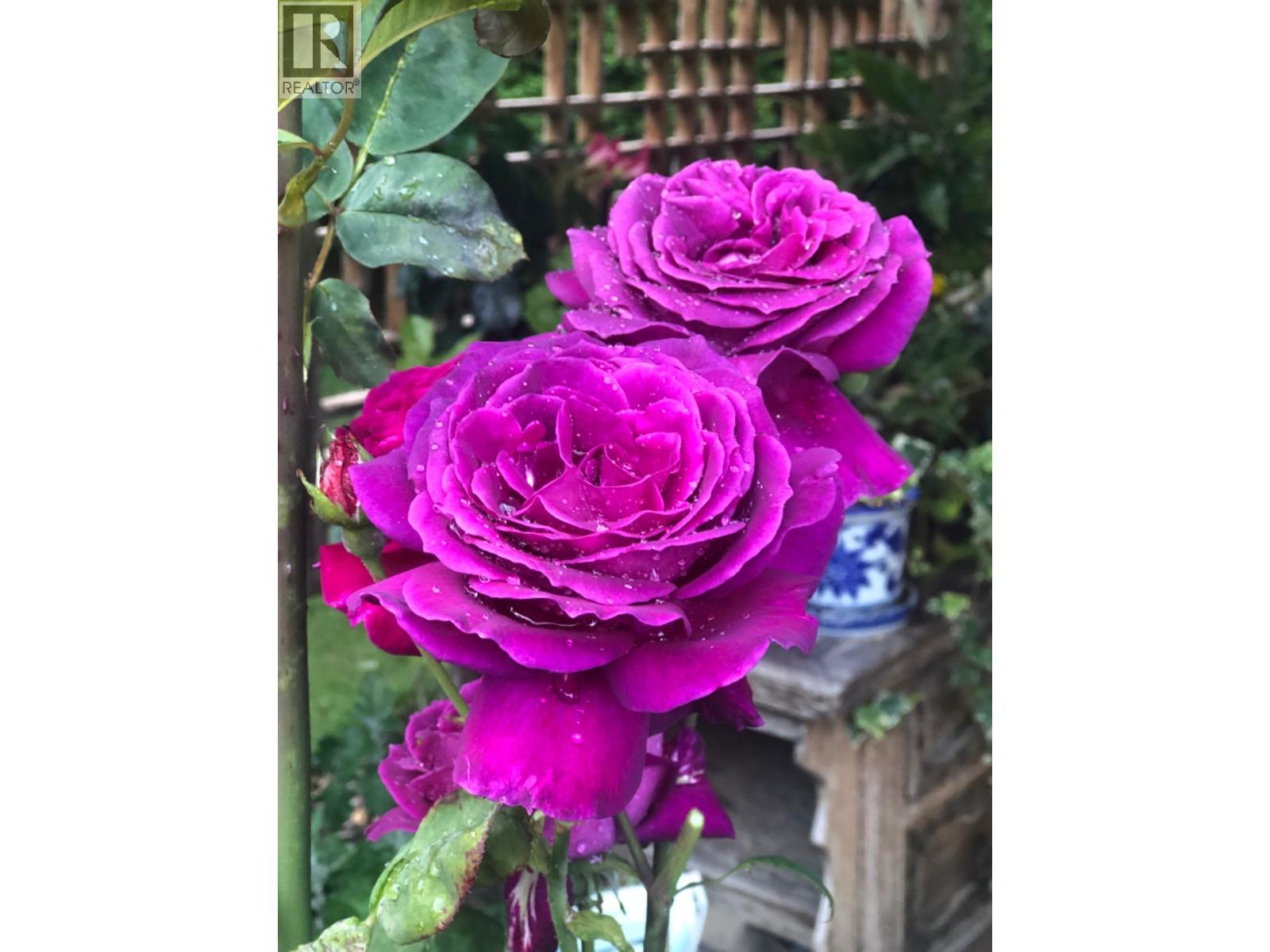 11311 Caravel Court, Richmond, British Columbia  V7E 4L2 - Photo 17 - R3087108