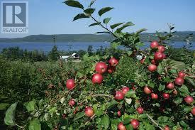 58148 12th Line, Meaford, Ontario  N4L 1W5 - Photo 7 - X12776386