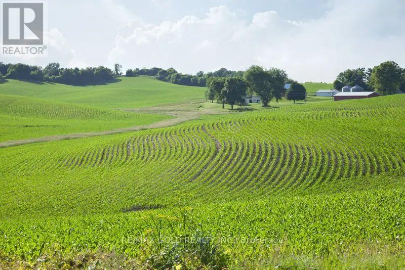58148 12th Line, Meaford, Ontario  N4L 1W5 - Photo 8 - X12776386