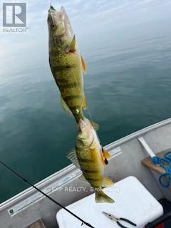 3214 St. Clair Road, Lakeshore, Ontario  N0R 1N0 - Photo 40 - X12773708