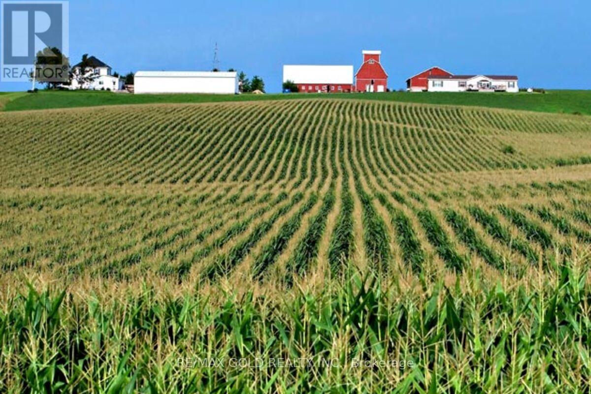 58148 12th Line, Meaford, Ontario  N4L 1W5 - Photo 3 - X12776386