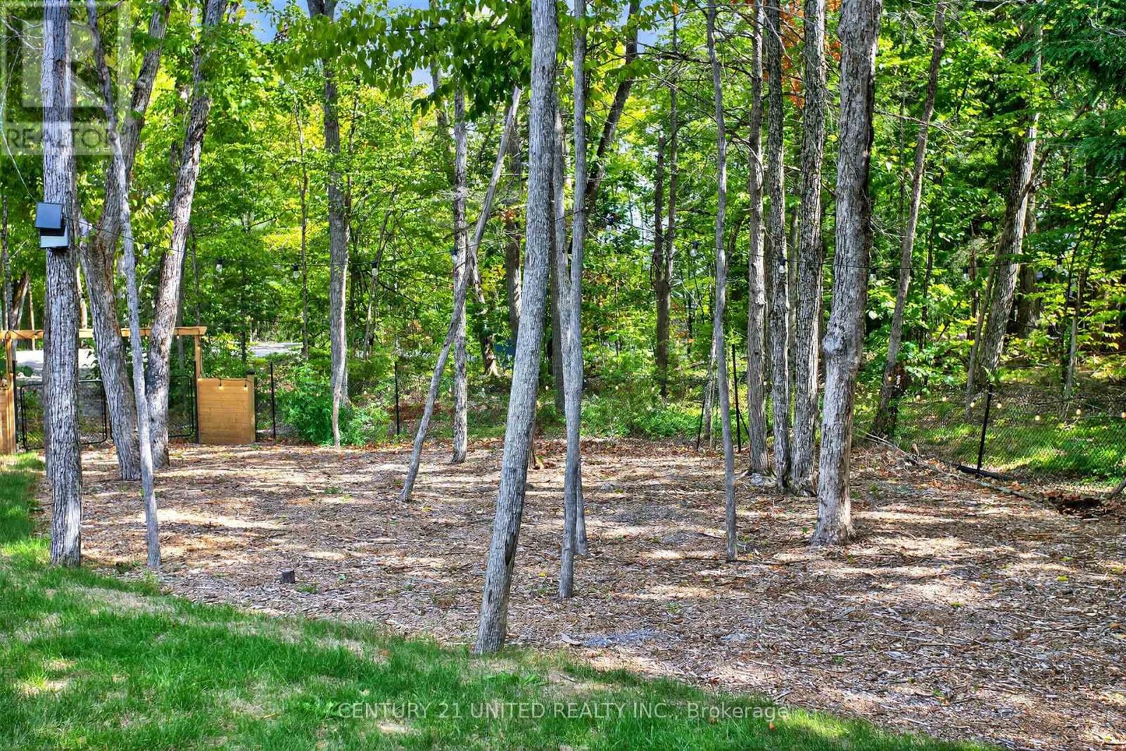 322 Elbow Point Road, Trent Lakes, Ontario  K0L 1J0 - Photo 34 - X12776974