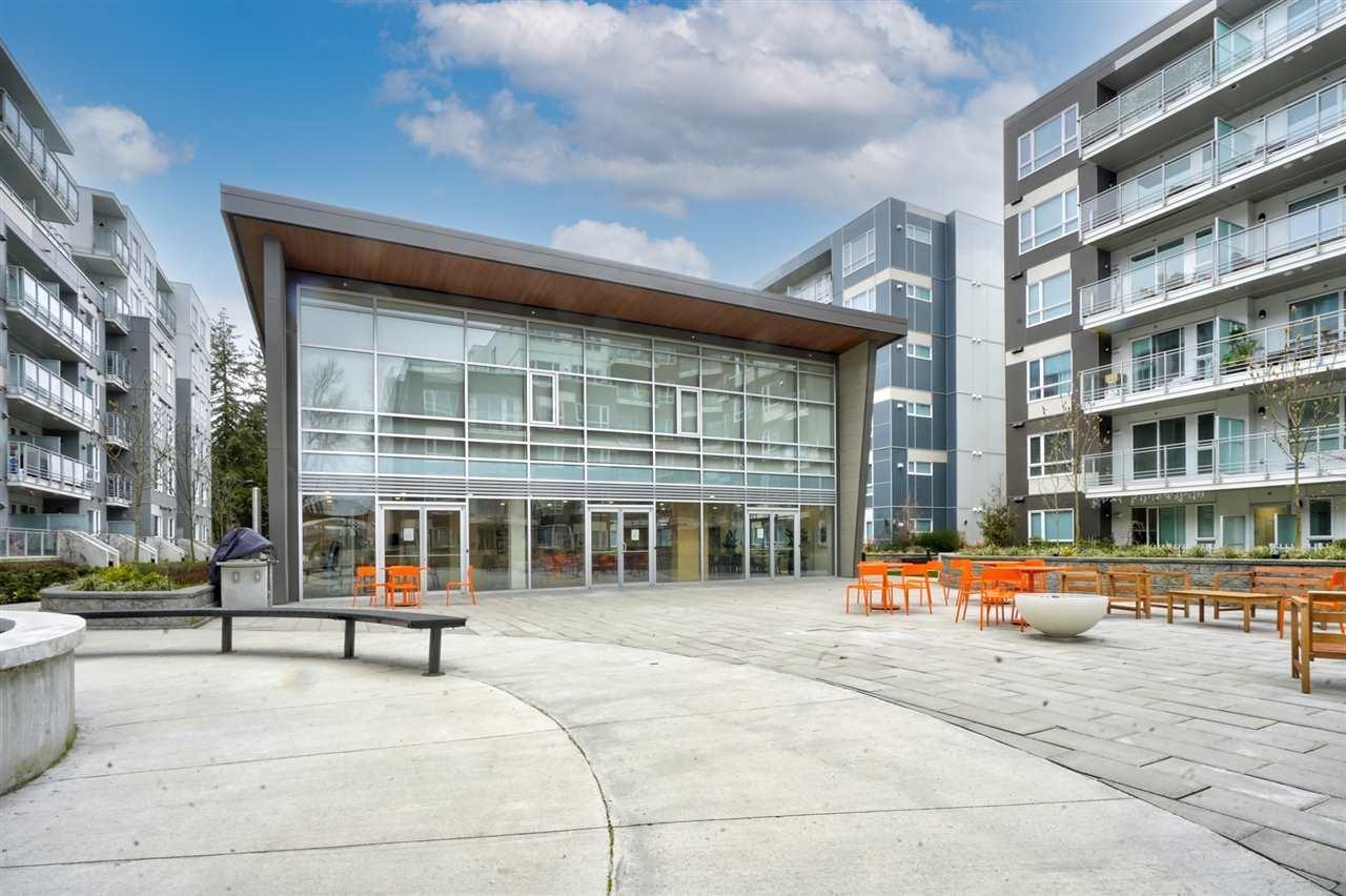 214 13963 105 Boulevard, Surrey, British Columbia  V3T 0M9 - Photo 16 - R3087182