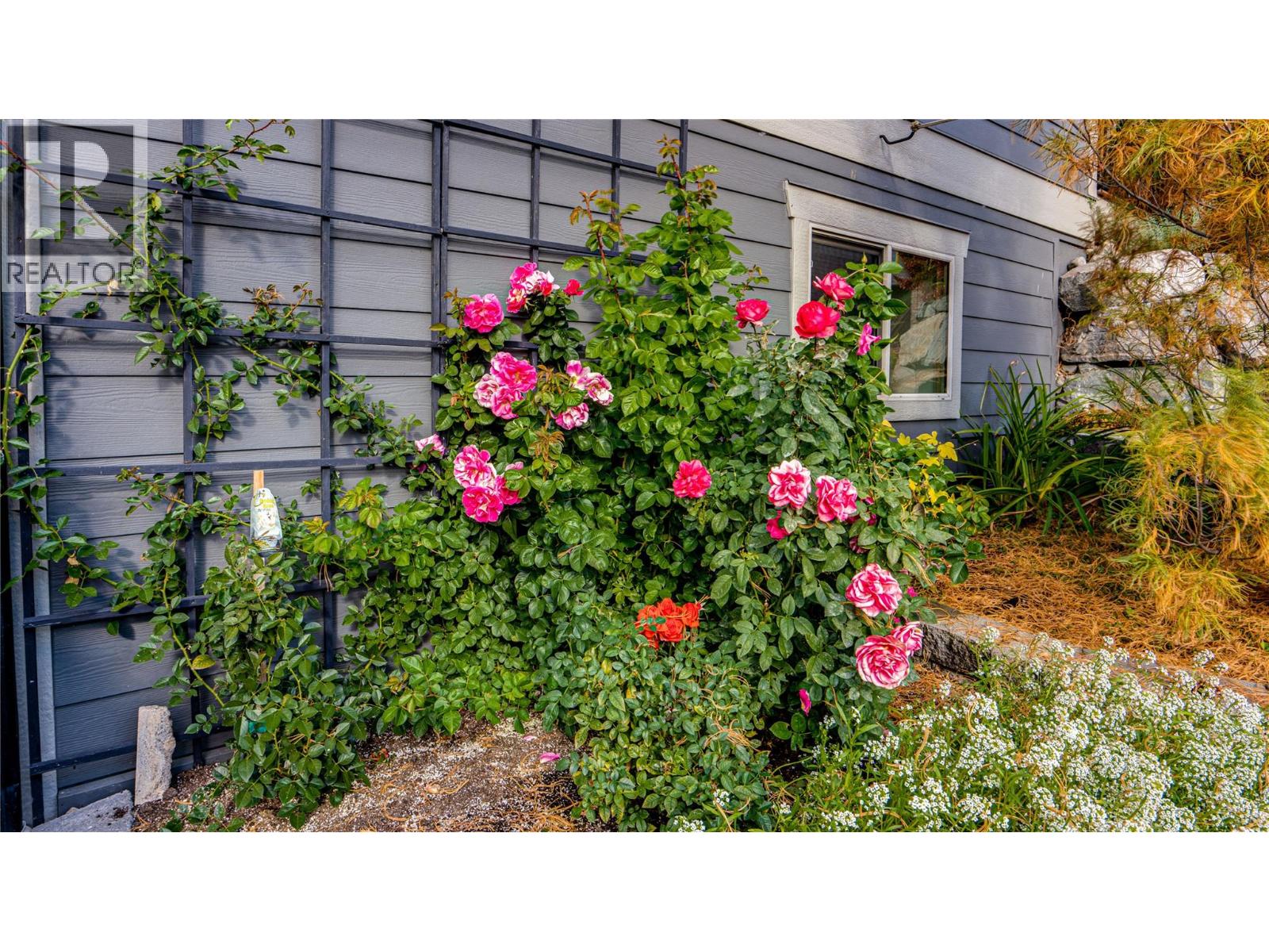 2990 20 Street Ne Unit# 33, Salmon Arm, British Columbia  V1E 3M4 - Photo 46 - 10375253