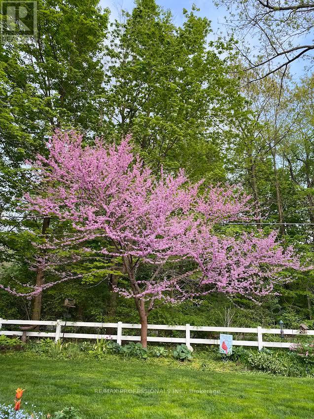 1384 Rometown Drive, Mississauga, Ontario  L5E 2T4 - Photo 40 - W12777352