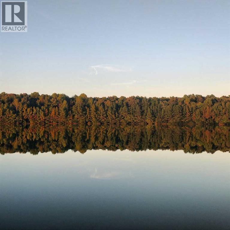 5901 50 Avenue, Rural Red Deer County, Alberta  T4G 1R7 - Photo 34 - A2281488