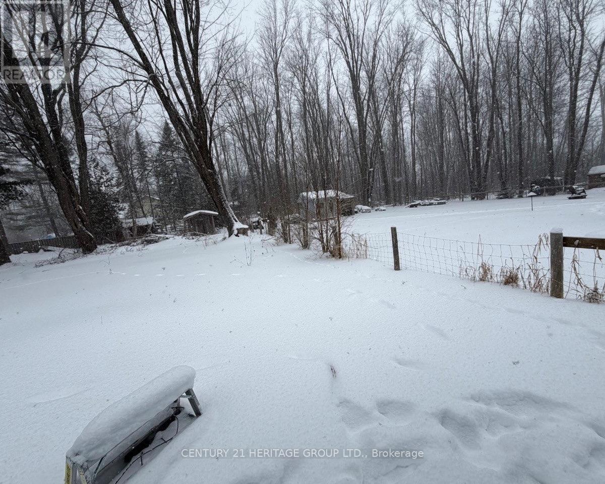 26826 Park Road, Georgina, Ontario  L0E 1R0 - Photo 14 - N12777556