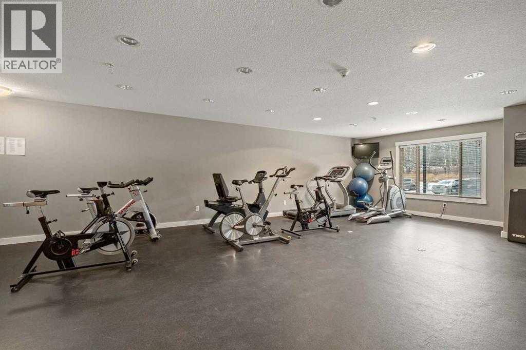 315, 300 Palliser Lane Lane, Canmore, Alberta  T1W 0H5 - Photo 41 - A2277952