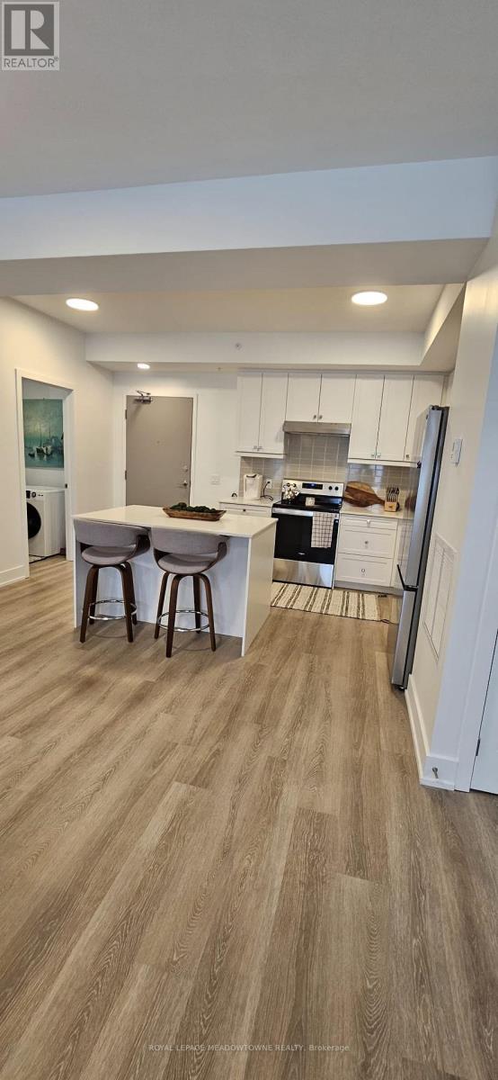 204 - 19b West Street N, Kawartha Lakes, Ontario  K0M 1N0 - Photo 3 - X12777706